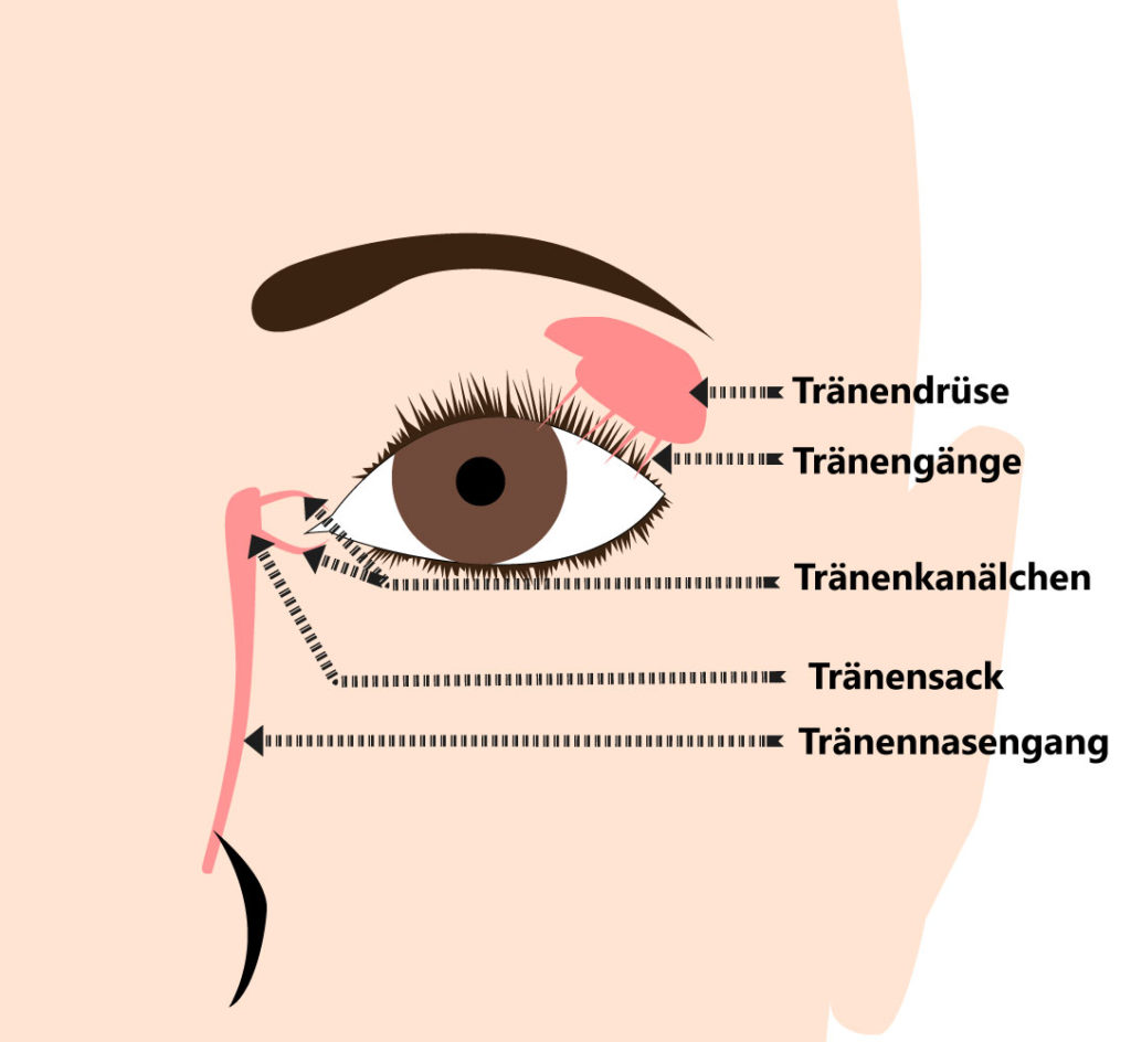 Welcher Arzt ist für Tränensackentzündung zuständig?